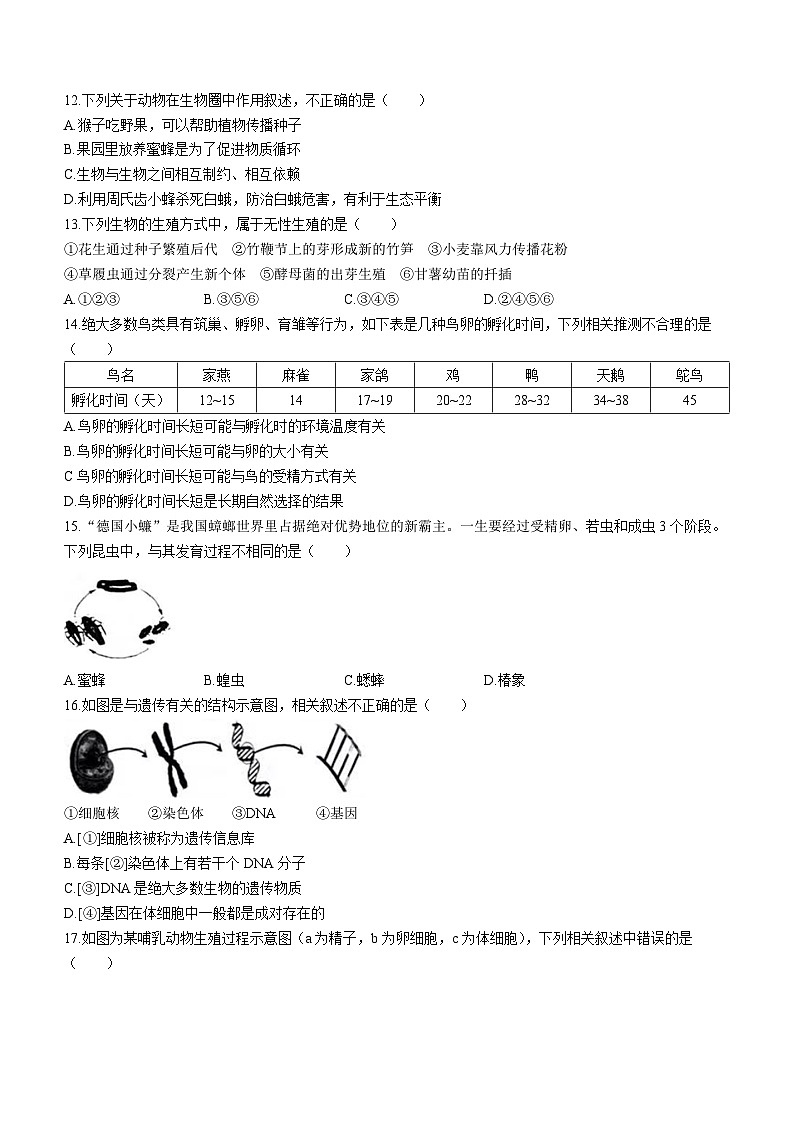 山东省济南市莱芜区2022-2023学年八年级下学期开学考试生物试题(无答案)03
