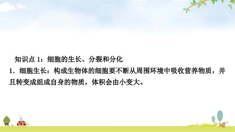 中考生物复习七年级上册第二单元生物体的结构层次第二章细胞怎样构成生物体教学课件02