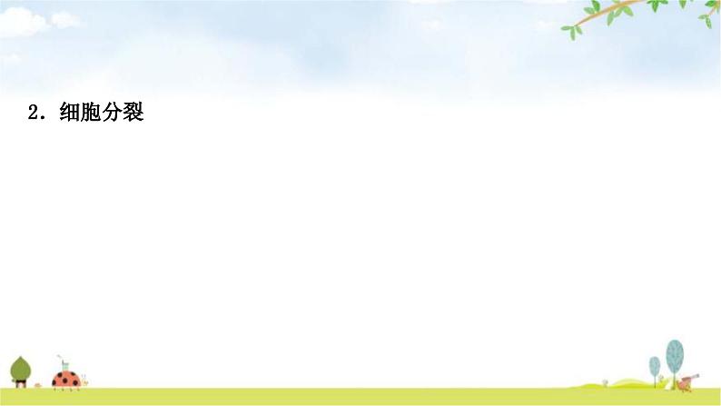 中考生物复习七年级上册第二单元生物体的结构层次第二章细胞怎样构成生物体教学课件03