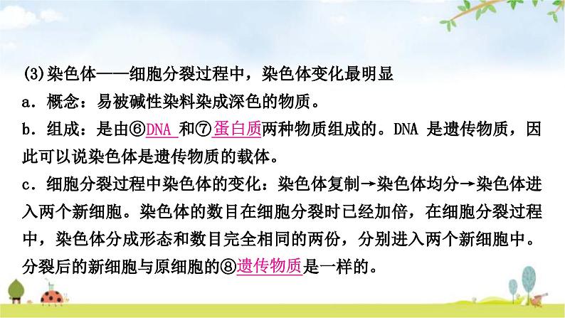中考生物复习七年级上册第二单元生物体的结构层次第二章细胞怎样构成生物体教学课件05