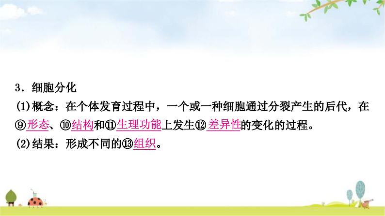 中考生物复习七年级上册第二单元生物体的结构层次第二章细胞怎样构成生物体教学课件07