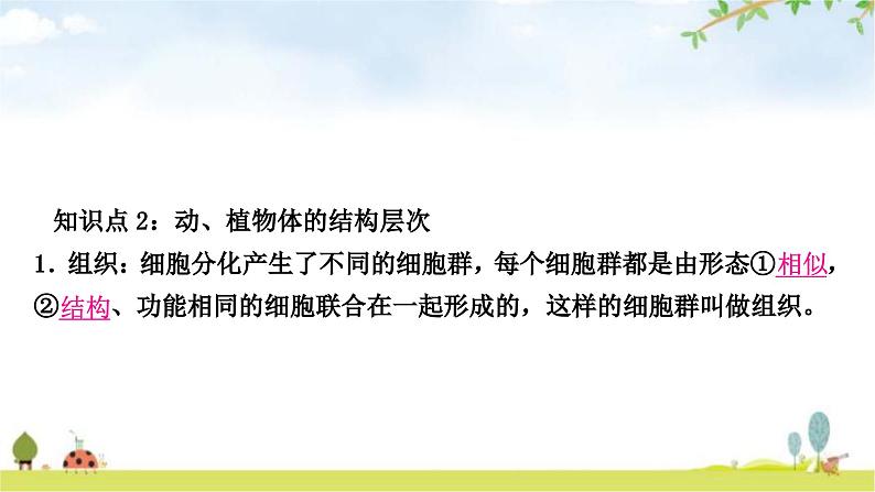 中考生物复习七年级上册第二单元生物体的结构层次第二章细胞怎样构成生物体教学课件08