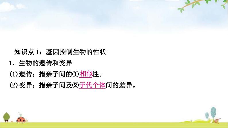 中考生物复习八年级下册第七单元生物圈中生命的延续和发展第二章生物的遗传与变异教学课件第2页