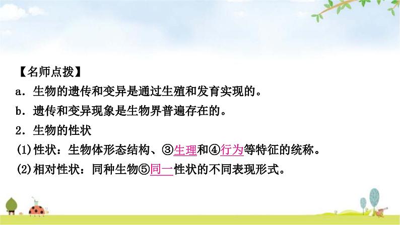 中考生物复习八年级下册第七单元生物圈中生命的延续和发展第二章生物的遗传与变异教学课件第3页