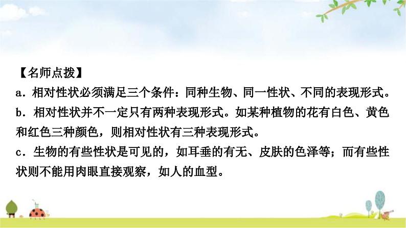 中考生物复习八年级下册第七单元生物圈中生命的延续和发展第二章生物的遗传与变异教学课件第4页