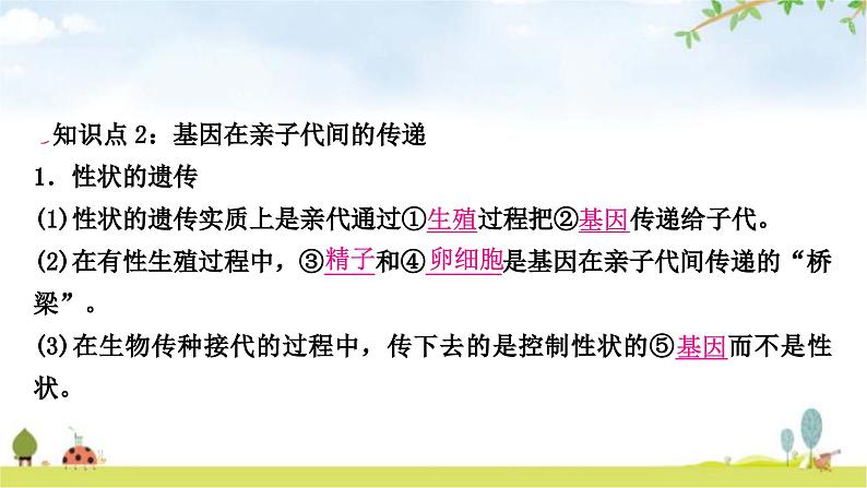 中考生物复习八年级下册第七单元生物圈中生命的延续和发展第二章生物的遗传与变异教学课件第8页