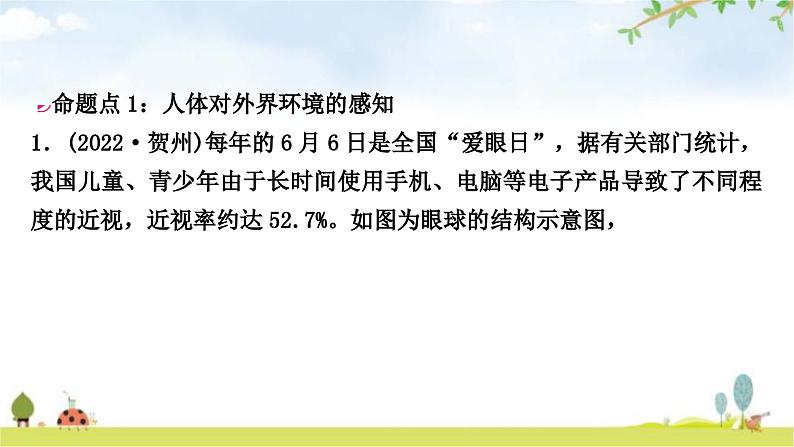 中考生物复习七年级下册第四单元生物圈中的人第六章七章课件02