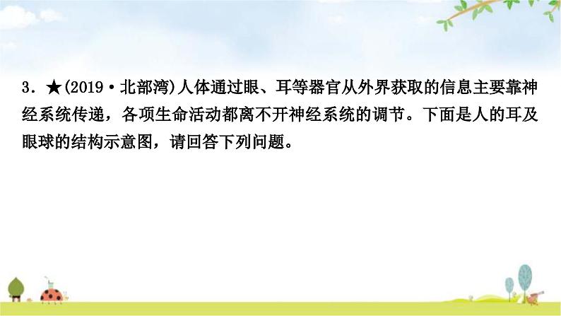 中考生物复习七年级下册第四单元生物圈中的人第六章七章课件06