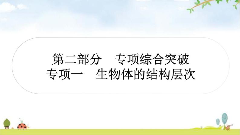 中考生物复习专项一生物体的结构层次课件第1页