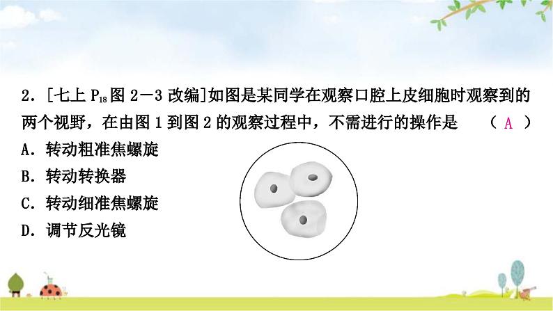中考生物复习专项一生物体的结构层次课件第3页