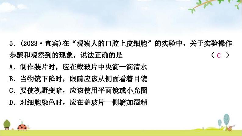 中考生物复习专项一生物体的结构层次课件第6页