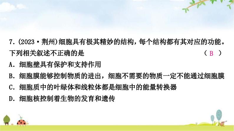 中考生物复习专项一生物体的结构层次课件第8页
