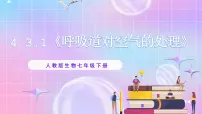 人教版 (新课标)七年级下册第一节 呼吸道对空气的处理精品课件ppt