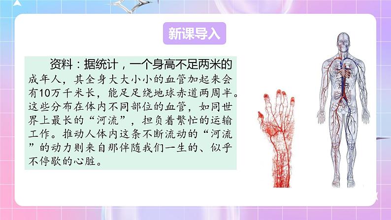 人教版生物七年级下册4.4.1《流动的组织——血液》课件+教案03