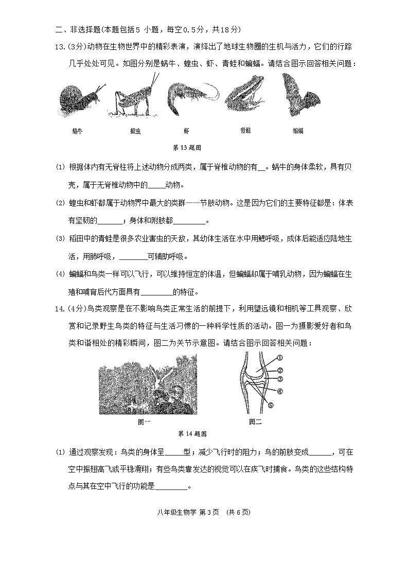 辽宁省大连市沙河口区2023-2024学年八年级上学期期末生物试题03
