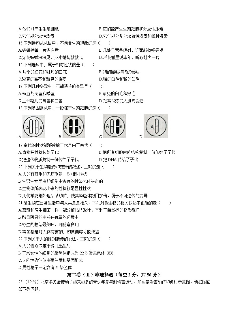 辽宁省朝阳市朝阳县2023-2024学年八年级上学期期末生物试题第3页