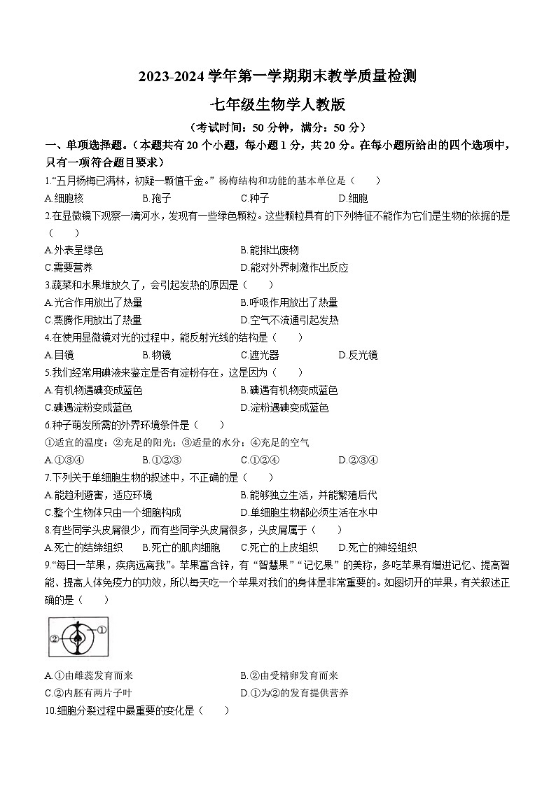 河南省周口市淮阳区2023-2024学年七年级上学期期末生物试题第1页