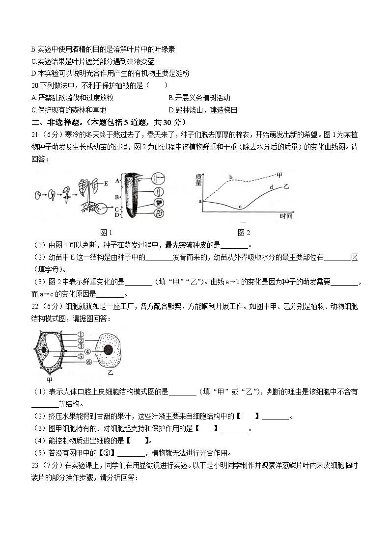 河南省周口市淮阳区2023-2024学年七年级上学期期末生物试题第3页
