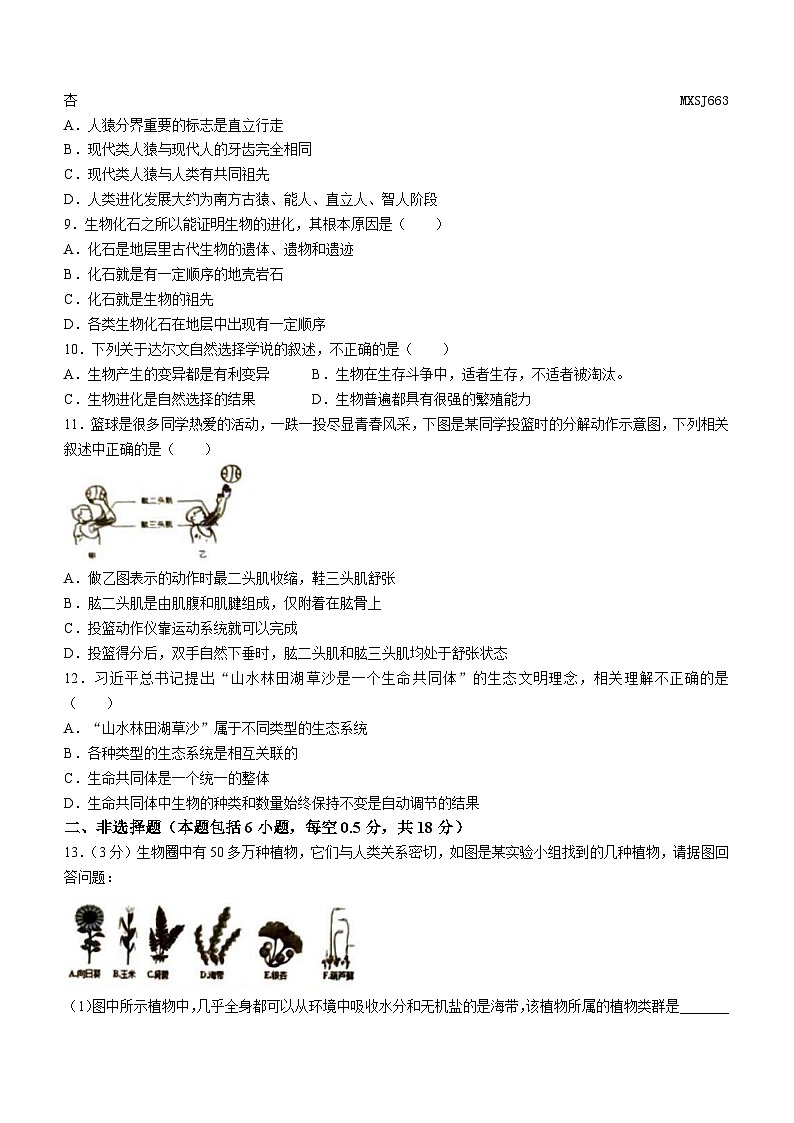辽宁省辽阳市2023—2024学年八年级上学期期末生物试卷(无答案)02