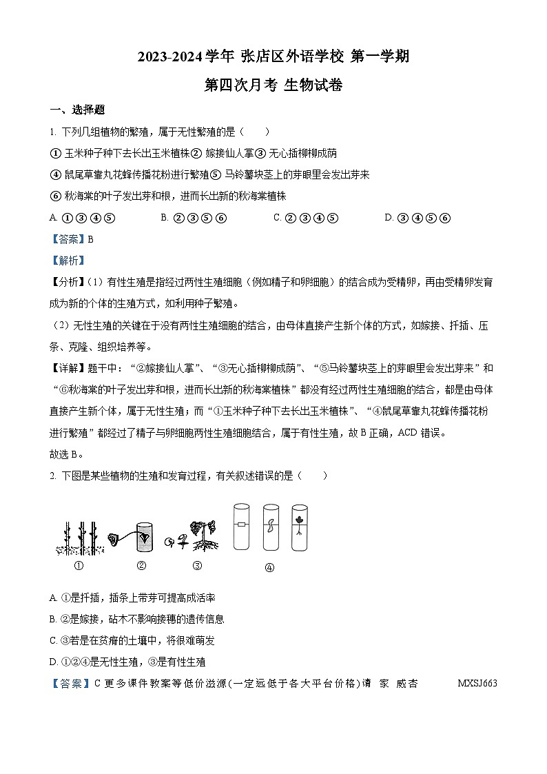 山东省淄博市张店区外语学校2023-2024学年八年级上学期第四次月考生物试卷01