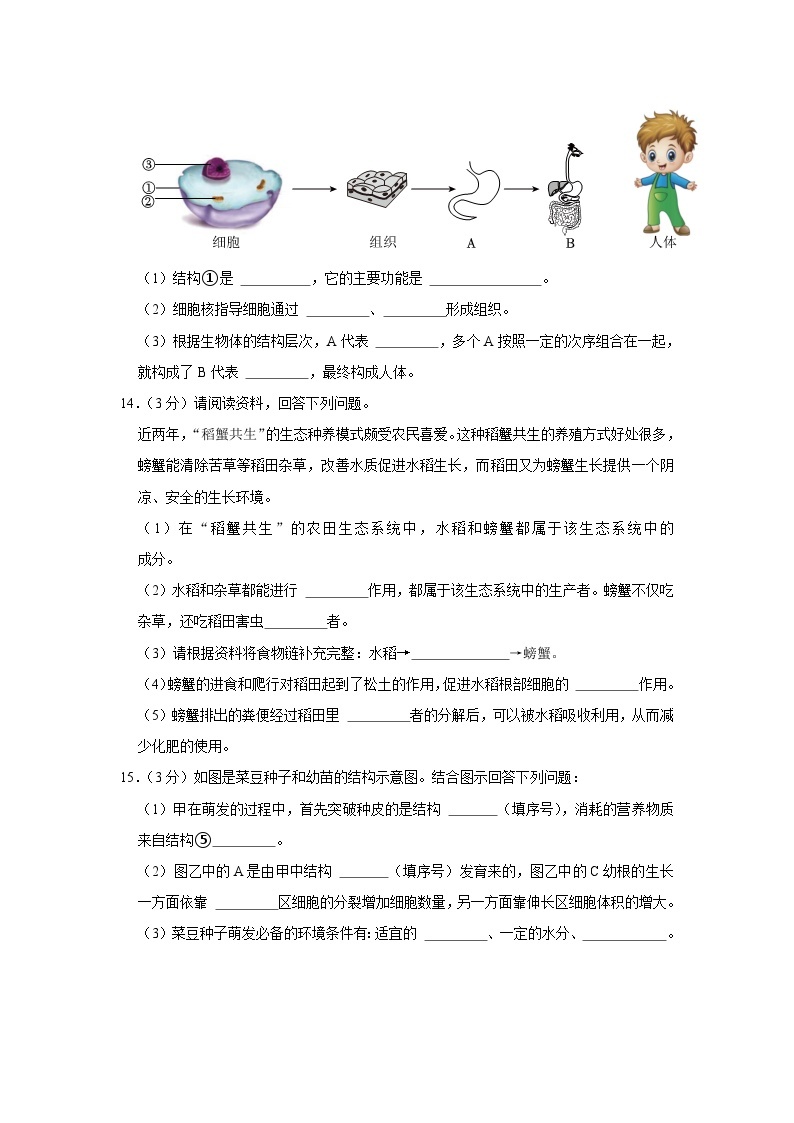 辽宁省大连市金普新区2023-2024学年七年级上学期期末生物试卷03