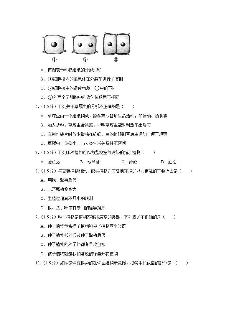甘肃省陇南市武都区2023-2024学年七年级上学期期末生物试卷02