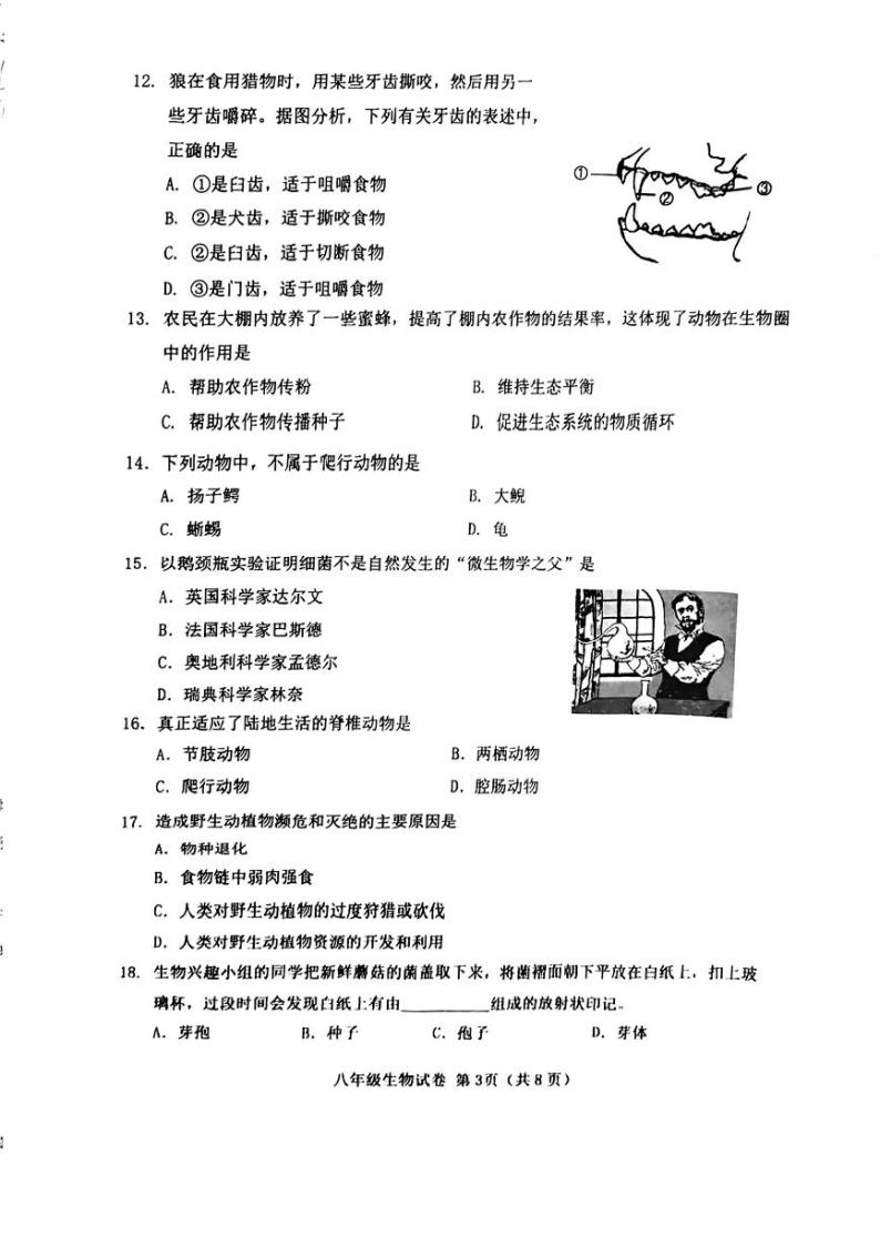 天津市西青区2023-2024学年八年级上学期期末生物试卷03