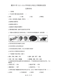 天津市耀华中学2023-2024学年八年级上学期期末质量调查生物试卷