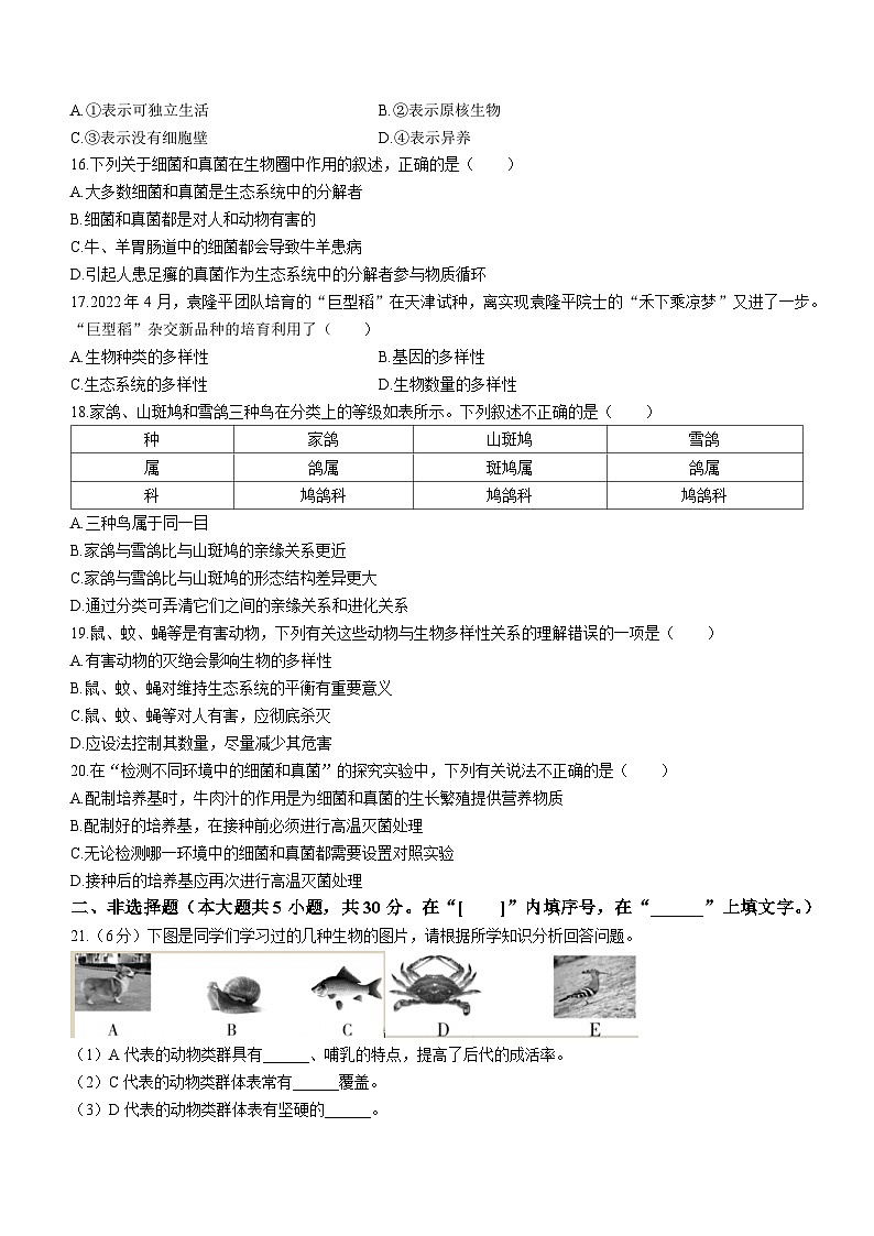 河南省开封市区2022-2023学年八年级上学期期末学业水平质量监测生物试题第3页