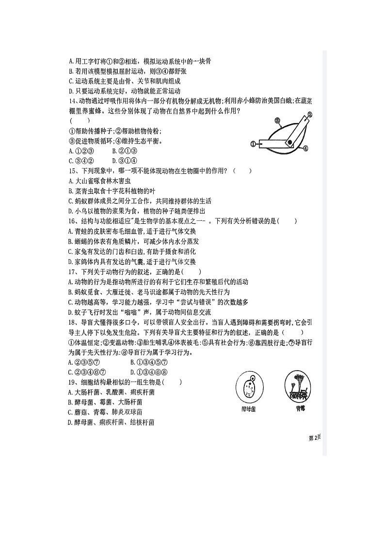 湖北省黄石市有色二中2023--2024学年八年级上学期期中考试生物学试卷03