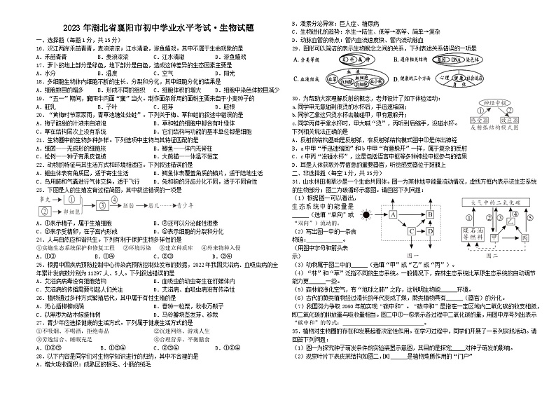2023年湖北省襄阳市生物学中考真题第1页