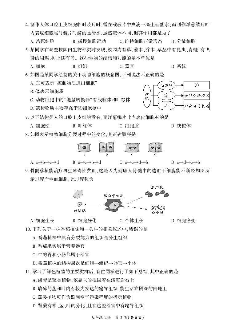 四川省广安市武胜县2023-2024学年七年级上学期期末考试生物试题第2页