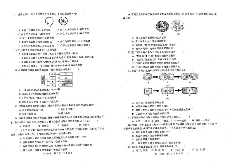 山东省烟台市莱州市2023-2024学年六年级上学期期末生物学试题02