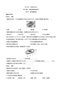 生物八年级上册第三节 神奇的微生物课时练习