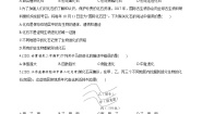 初中第五单元 生物多样性第十六章 生命起源和生物进化第二节 生物进化的历程课后测评