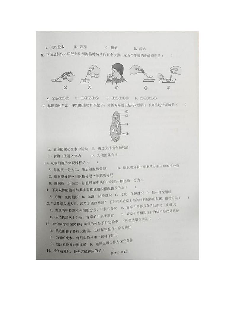 安徽省合肥市合肥经济技术开发区2023-2024学年七年级上学期期末生物试题第2页