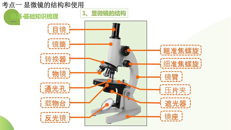 专题02 细胞是生命活动的基本单位(课件)-2024年中考生物一轮复习讲练测(全国通用)08