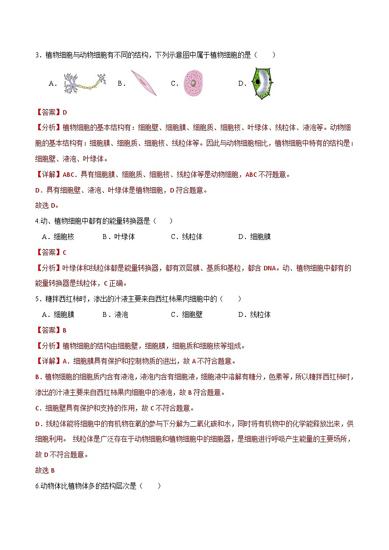 模块二 生物体的结构层次(测试)-2024年中考生物一轮复习讲练测(全国通用)02