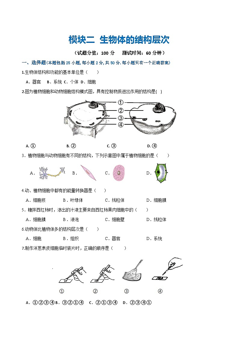 模块二 生物体的结构层次(测试)-2024年中考生物一轮复习讲练测(全国通用)01