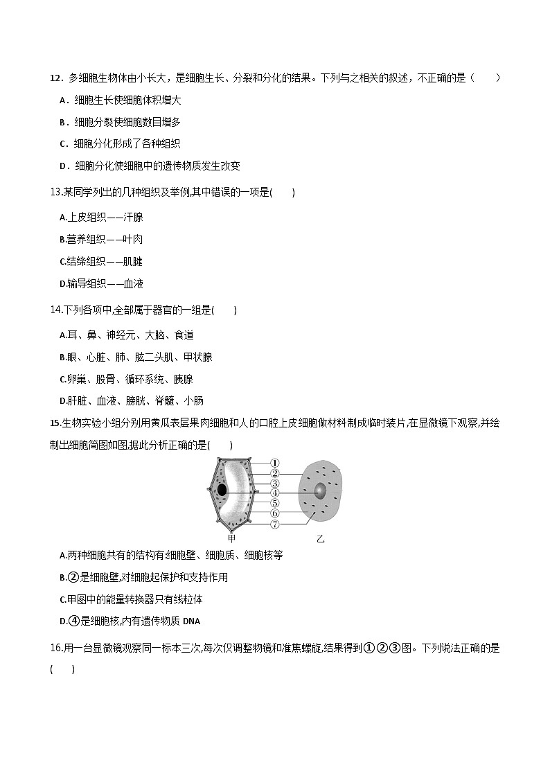 模块二 生物体的结构层次(测试)-2024年中考生物一轮复习讲练测(全国通用)03