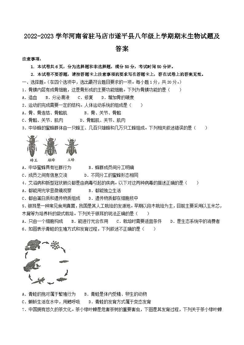 2022-2023学年河南省驻马店市遂平县八年级上学期期末生物试题及答案第1页