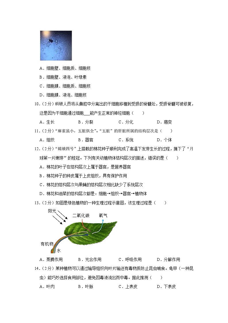 重庆市南岸区2023-2024学年七年级上学期期末生物试卷+03