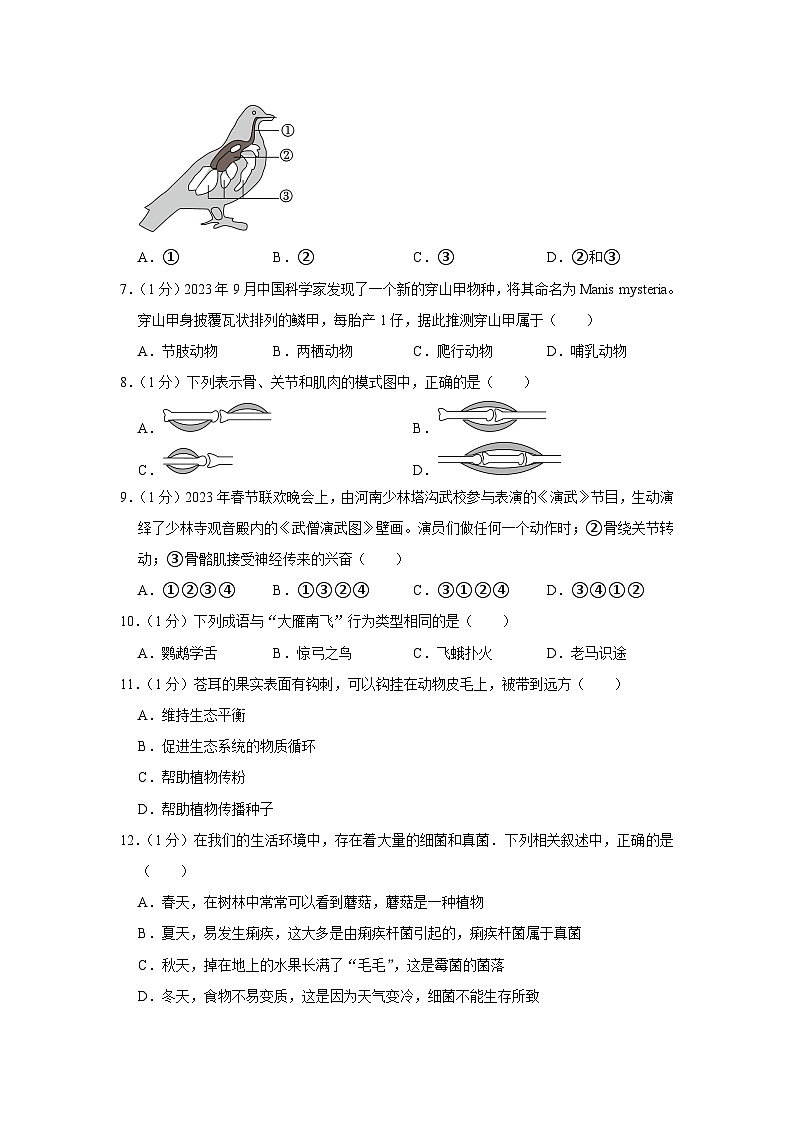 吉林省长春市新区2023-2024学年八年级上学期期末生物试卷+第2页