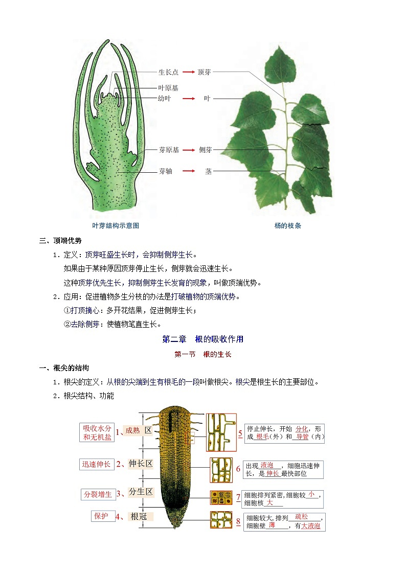 初中生物八年级复习专题精讲 【冀少】八上生物全册知识点总结(带解析)第3页