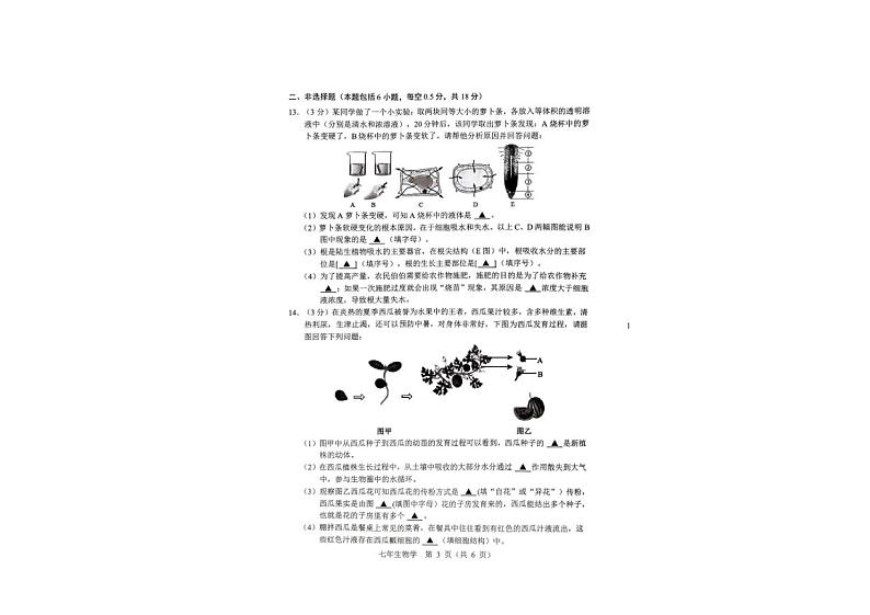 辽宁省辽阳市2023-2024学年七年级上学期期末质量监测生物试题03