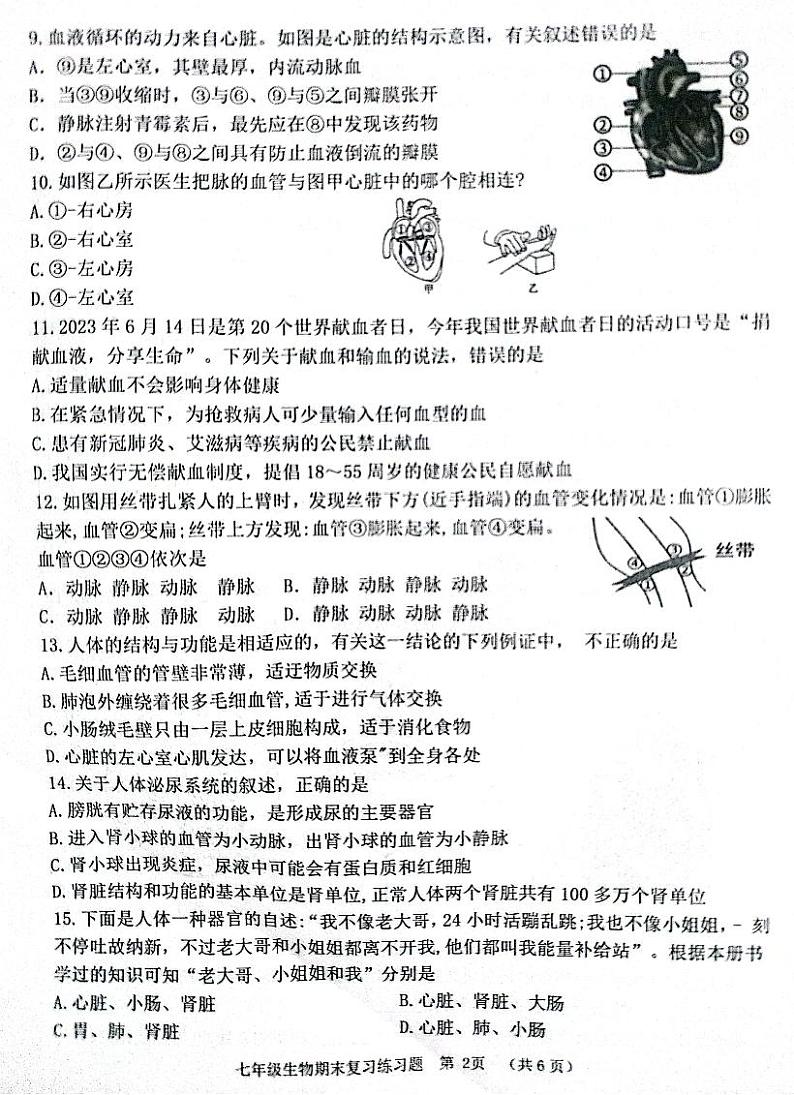 山东省淄博市高青县2023-2024学年七年级上学期期末生物试题第2页