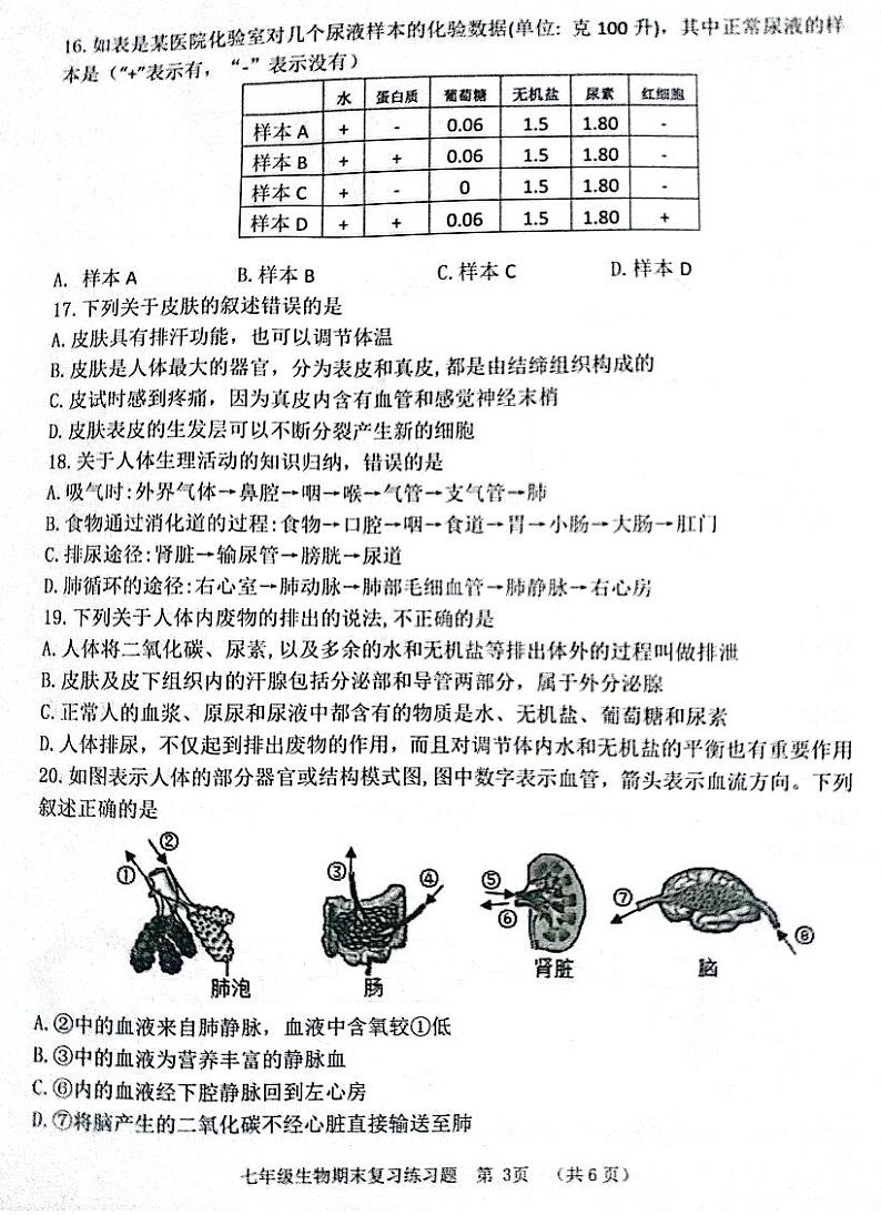 山东省淄博市高青县2023-2024学年七年级上学期期末生物试题第3页