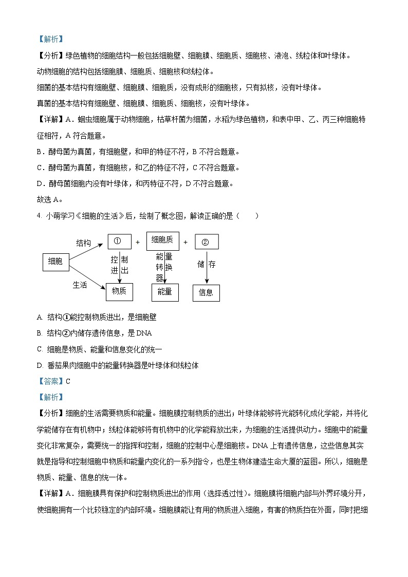 2023年湖北省宜昌市中考生物真题03