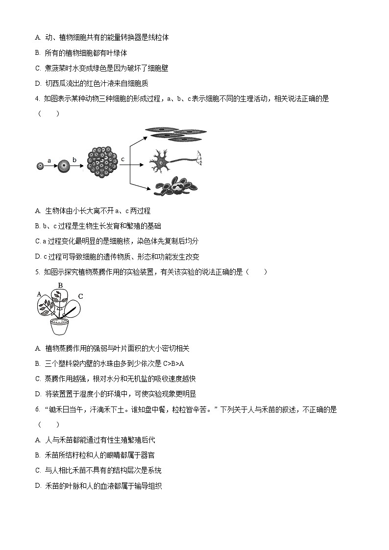 精品解析:山东省滨州市中考生物真题(原卷版)第2页