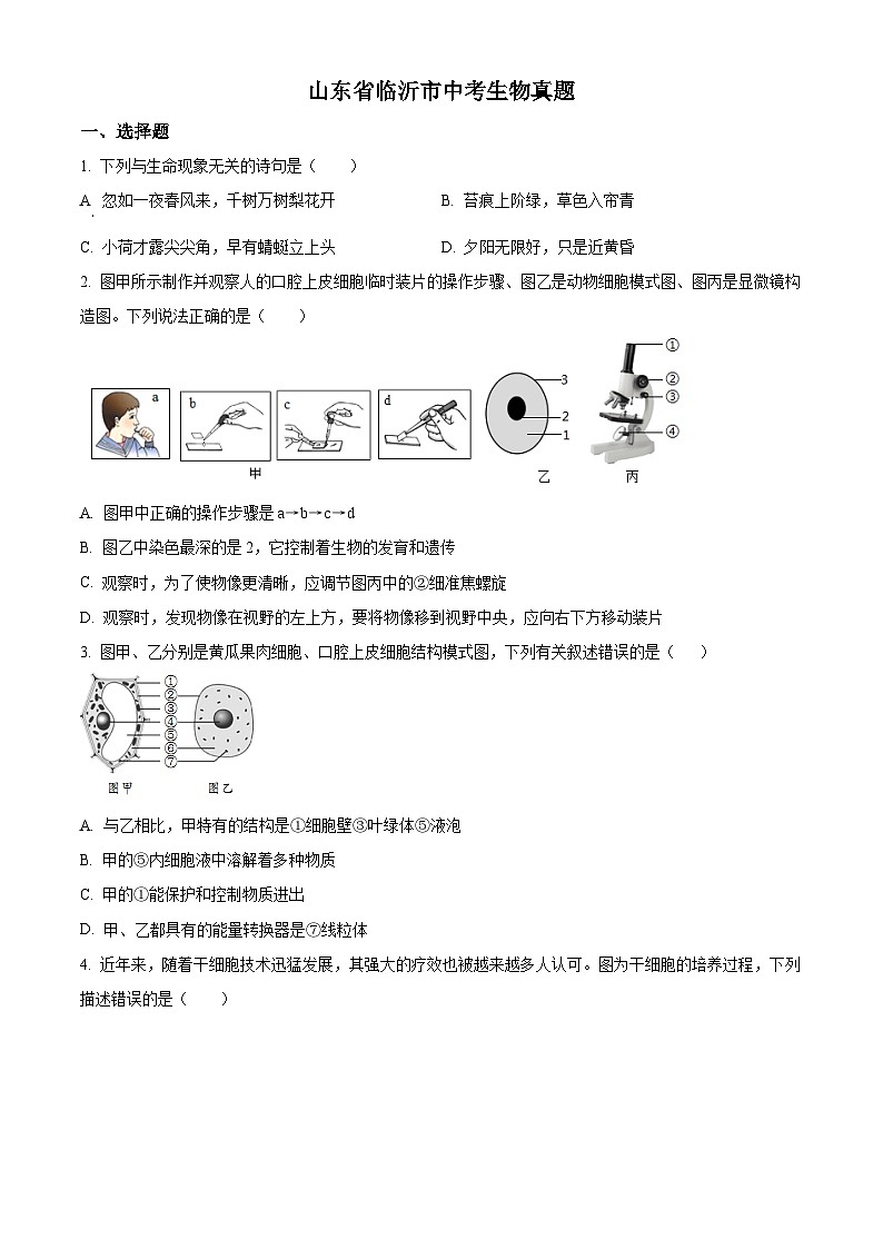 精品解析:山东省临沂市中考生物真题(原卷版)第1页